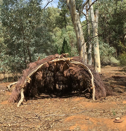 flinders ranges